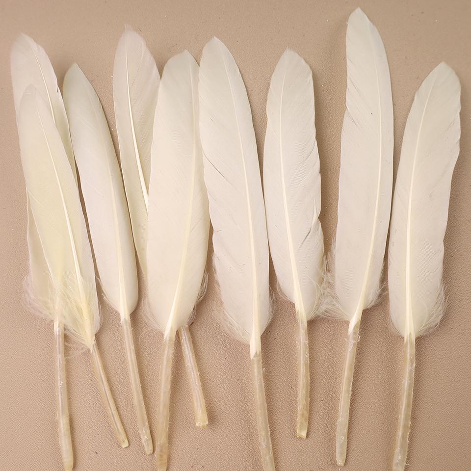 Duck Feathers for Clothes Handicraft Accessories White Golden Black Pink Peacock Goose Feather Plumas Handicraft Article