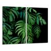Szklana Płyta Ochronna Na Kuchenkę 2x30x52 Monstera