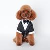 Jesienno-zimowa odzież dla psa: Przytulne stroje dla Teddy'ego, Golden Retrievera i Samojeda