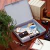 Iris Ohyama Private Box Safe, Gray, PV-330