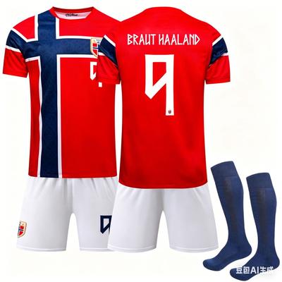 World Cup Norway Home Football Jersey No. 9, Jersey, Adults And Children
