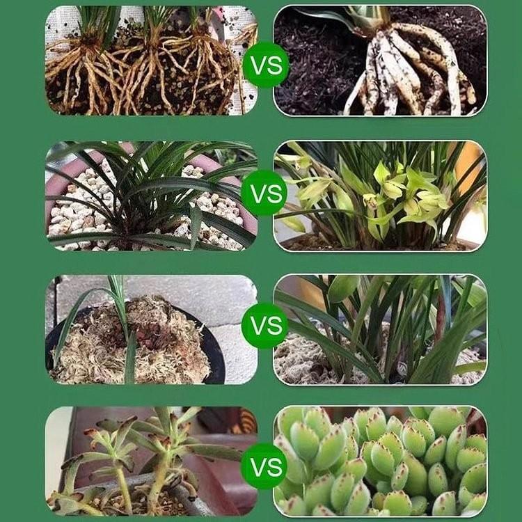 Pflanzennährlösung Konzentrierter Wachstumsdünger für Blumen Bäume Grünpflanzen Bewurzelungsbooster Flüssigkeit