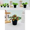 Mini Fake Plant Pot With Silk And Plastic Materials For Office Desk And Bedroom