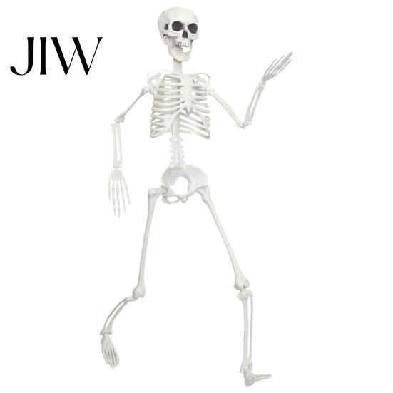 Poseable Halloween Prop 3ft Life Size Skeleton, Full Body Posable Plastic Skeleton Prop, Realistic Movable Joint Human Bones Model for Yard Patio Lawn