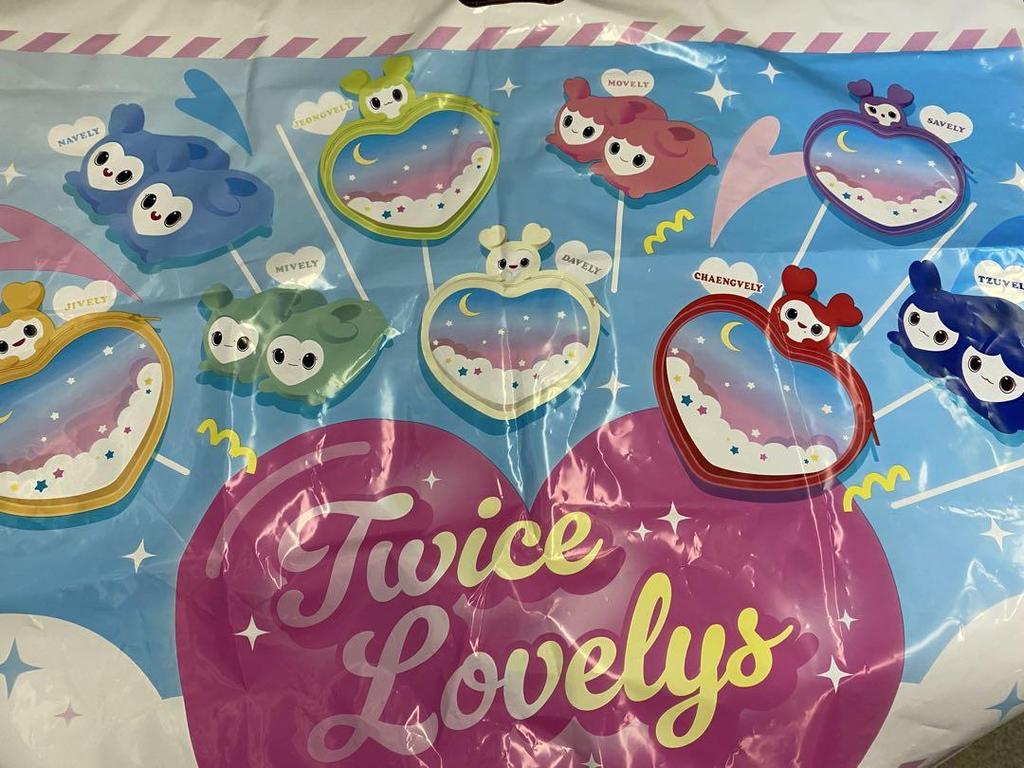 [USED] TWICE x GIGO Limited Edition Tissue Case Chaeyoung