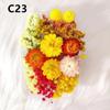 Kit DIY Fleur Éternelle: Cadre photo de fleurs séchées, éventail rond, bouteille flottante, composition florale réelle pour la décoration du salon ou de la maternelle.