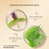 Bee & Flower Herbal Essence Hair Conditioner