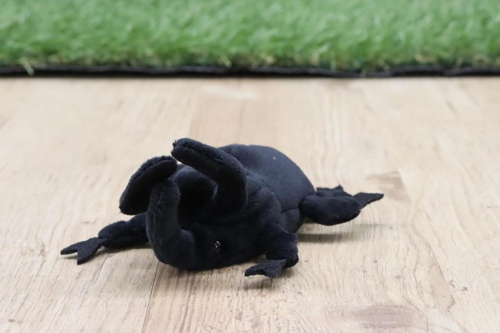 Take Off Pokepuni Caucasus Beetle