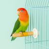 Bite Resistant Parrot Climbing Stand Wear Resistant Frosted Station Pole  Parrot Training