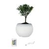 Decorative LED Succulents Pot Regulable Color Models Indoor Gardening Tool For Home Or Office Spaces