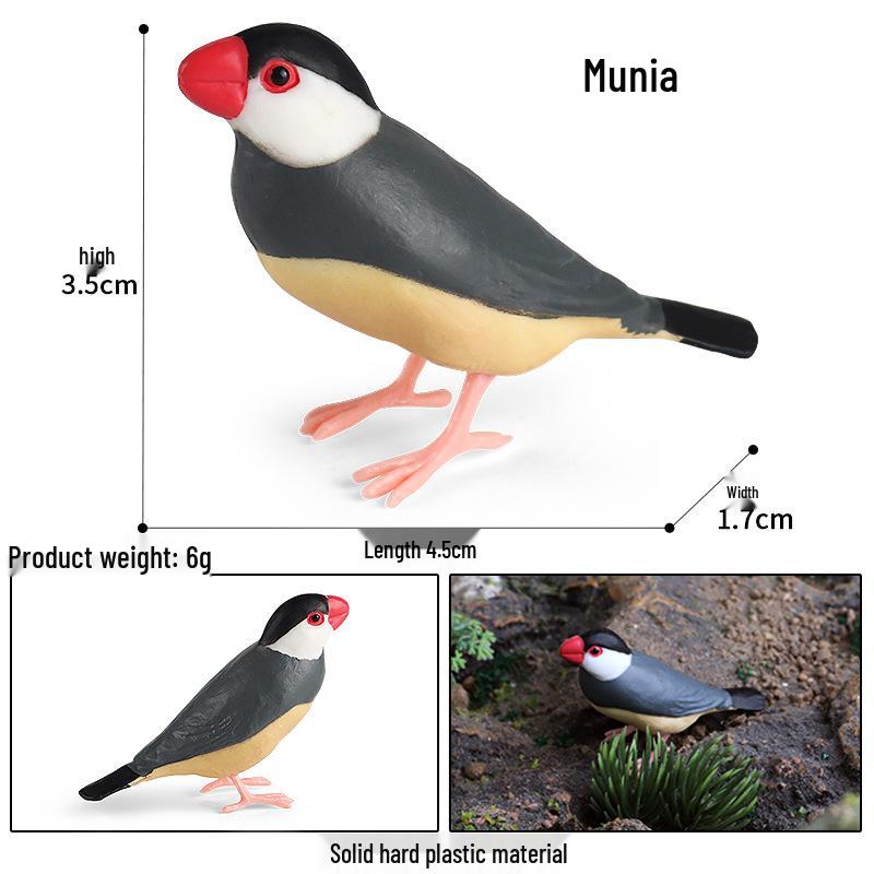 Children's Animal Simulation Toy Set: Eagle, Falcon, Secretary Bird, Owl Figurines