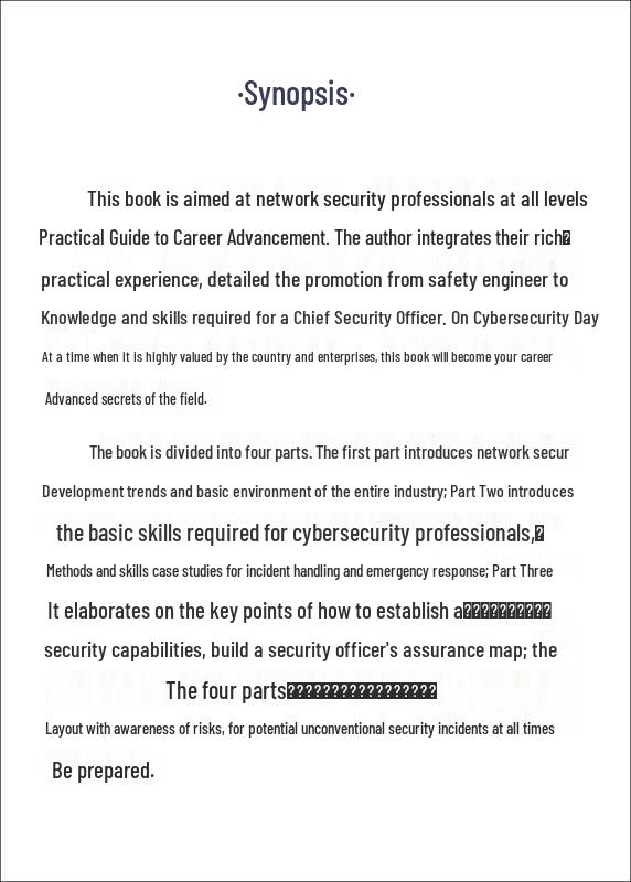 Path To Chief Security Officer