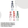Skeleton Fridge Magnets Halloween Poseable Skeleton Decorative Magnets Cool Skull Decor Funny Spooky Stickers Party Supplies