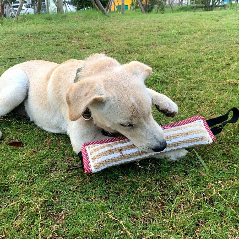 Pet Accessories Bite-resistant Dog Bite Pillow Interactive Durable Pet Chew Sticks Rope Handles Dog Tug Toy for Cats and Dogs