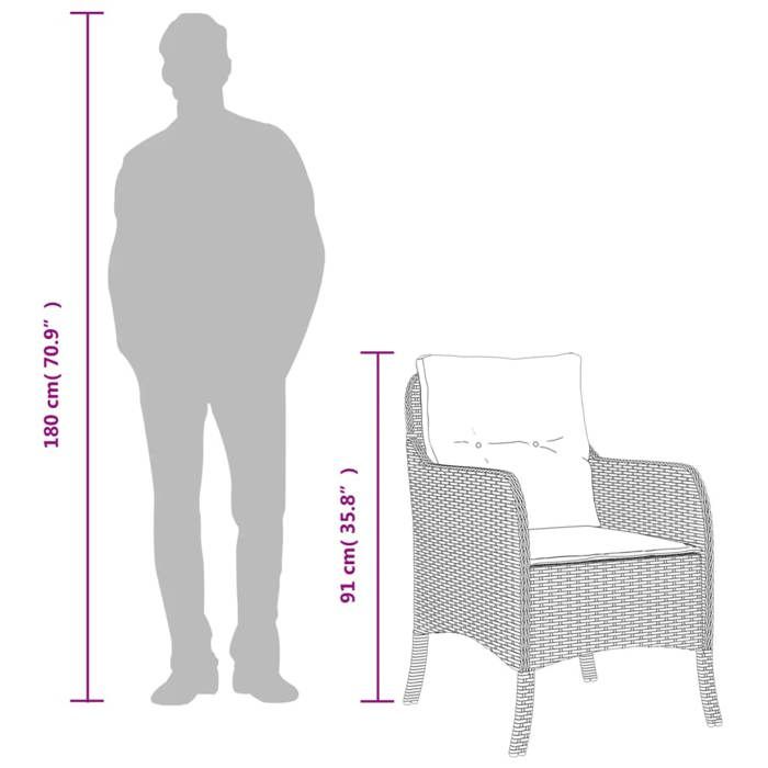 VidaXL Lot de 2 Chaises de Jardin avec Coussins, Sièges de Patio avec Housse Amovible, Meubles d'Extérieur Terrasse, Noir 365144