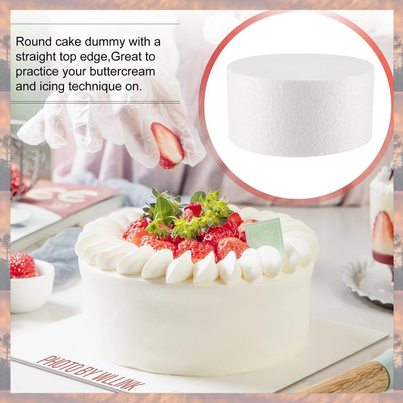 2025 Trend Round Cake Dummy (6 Inch)