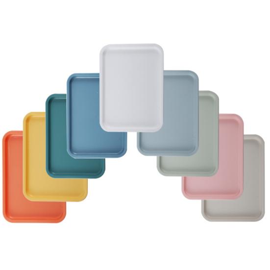 Fruit Storage Tray Nordic Style Pack Food Rectangular Storage Plate for Living Room