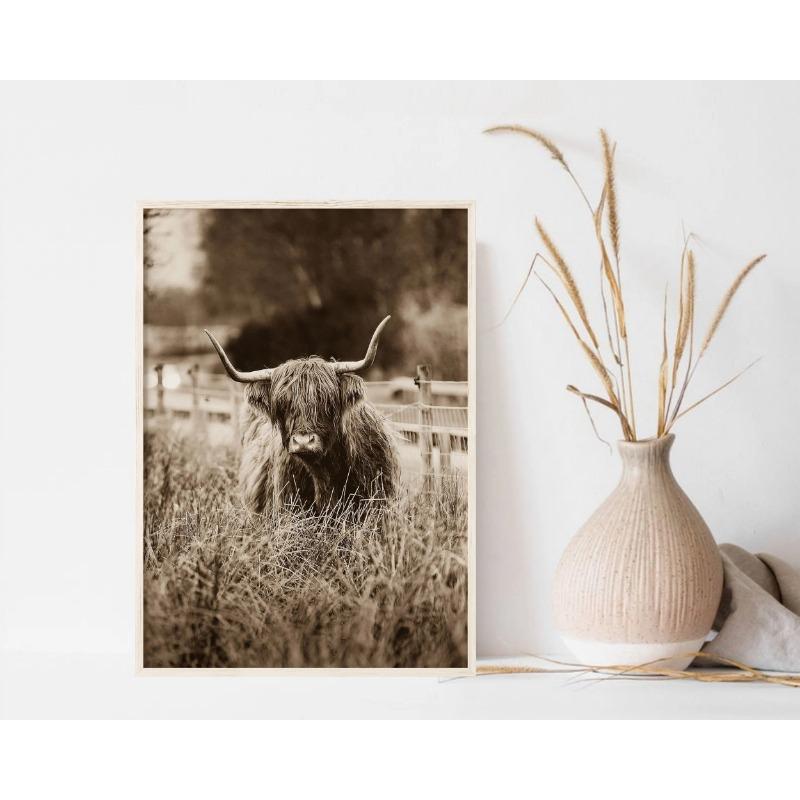 Southwest Rustic Western Farmhouse Photo Highland Cow Posters and Prints Canvas Printing Wall Art Picture for Living Room Decor