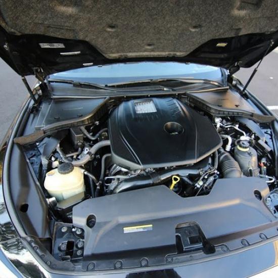 For Infiniti Q50 Luxe Sedan Hoods Lift Support Gas Spring Shock Struts 2Pcs