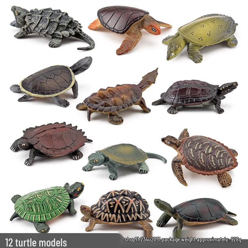 Cross-Border Amphibian Reptile Figurine - Alligator Snapping Turtle, Red-Eared Slider, Musk Turtle, Chinese Softshell Figurine Toy