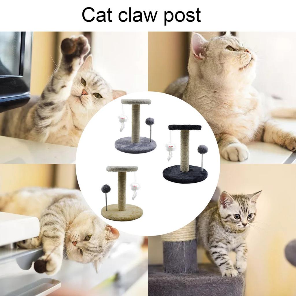 free cat scratching post