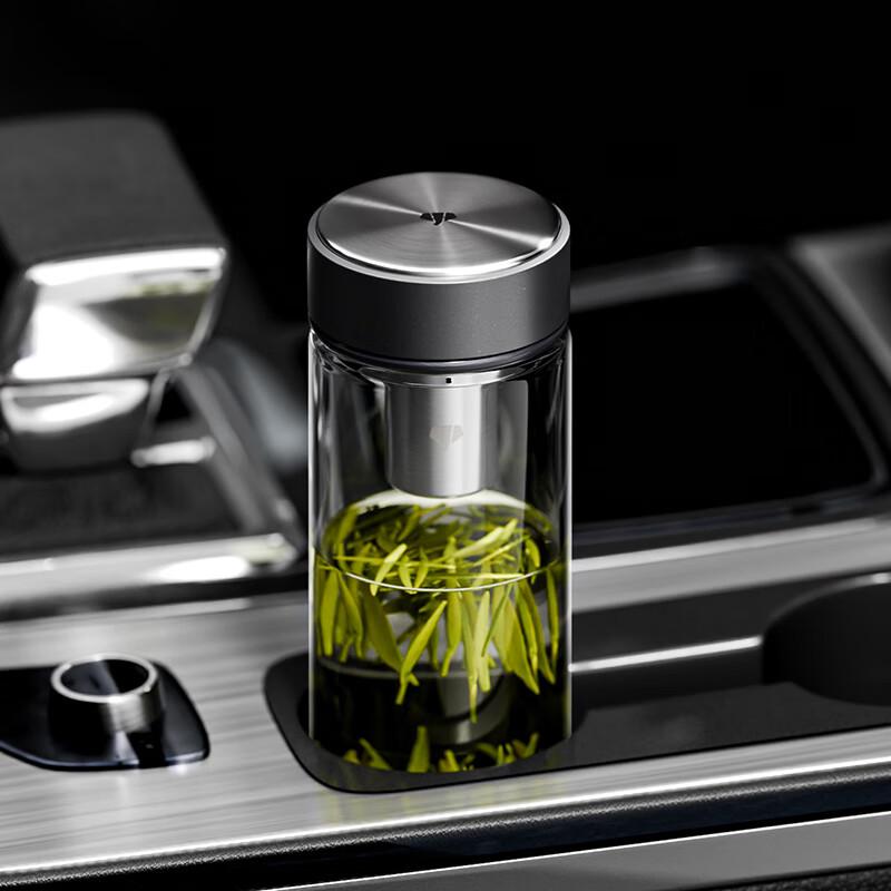 WANXIANG Portable Glass Tea Infuser Bottle