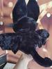 Black Bat Rabbit Plush Doll Stuffed Animal Cuddly Toy Birthday Gift Holiday Gift for Halloween Christmas  Devil Companion Toys