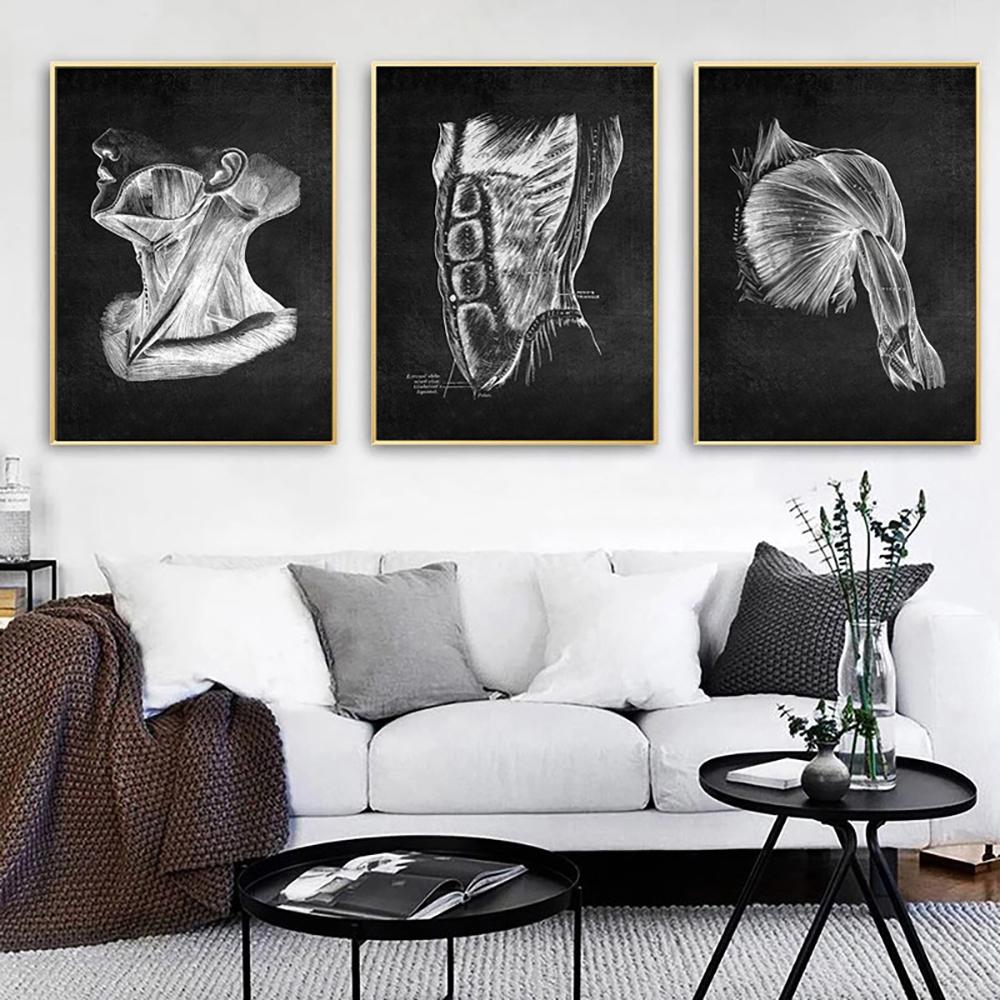 Human Anatomy Canvas Painting Skeletal Heart Picture Decoration Poster Gift BedRoom Wall Art Prints Modern Home Decor Aesthetic
