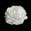 Peony Rose Gilded Low-Temp Drip Wax Candles - Skin-Friendly Adult Training Props