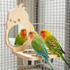 Wooden Bird Stand with Mirror Multi Use Pet Supply Play and Exercise for Parrots