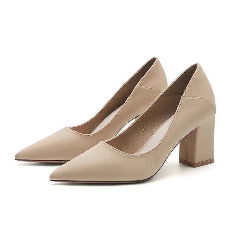 Pointed Head Shallow Mouth Thick Heel High Heels Women's Autumn New Two Wear Professional Work Banquet Women's Single Shoes