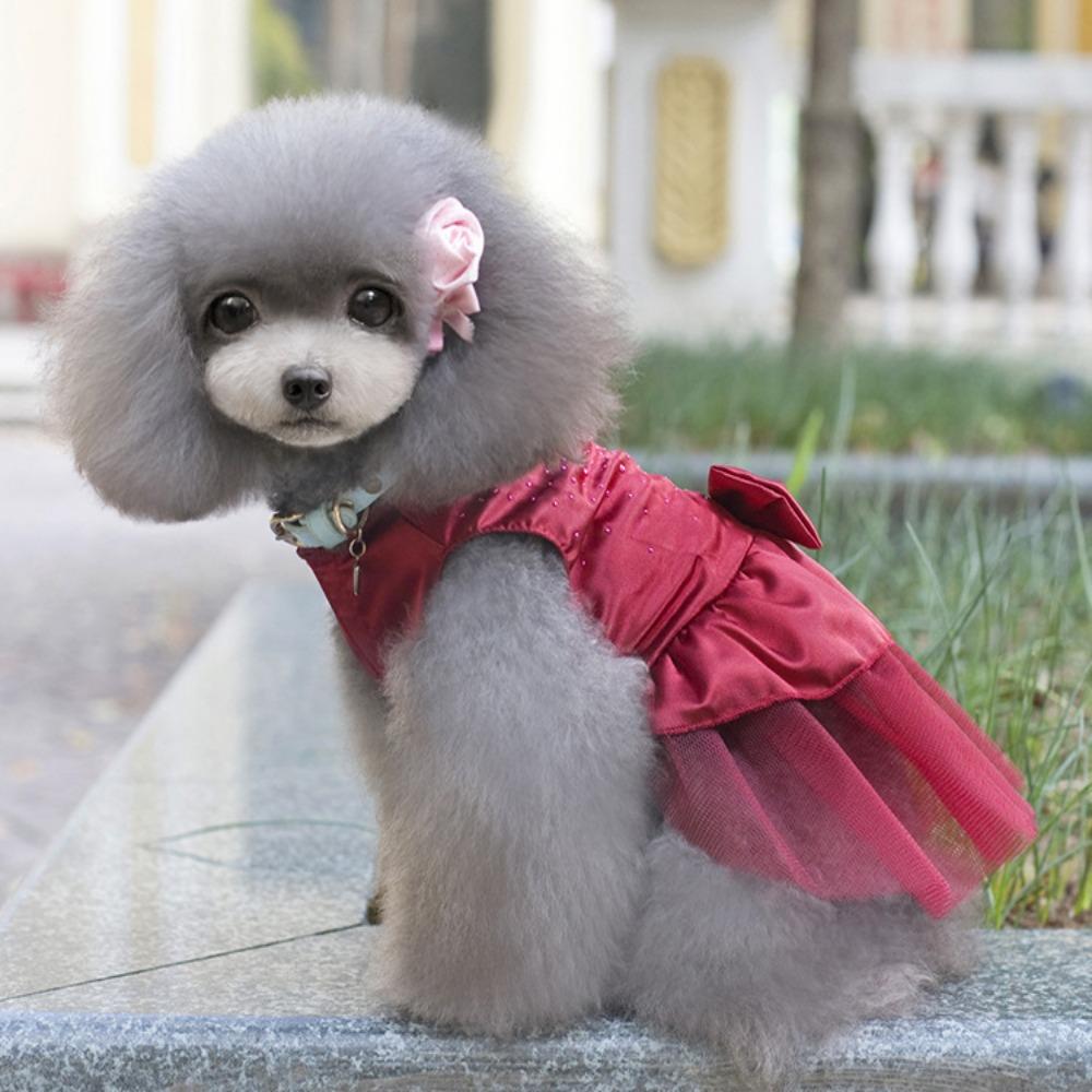 Bowknot Wedding Party Flower Printed for Spring Dog Skirt Dog Princess Dress Cat Dress Pet Apparel