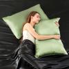 2PCS Satin Pillowcase Gifts Luxurious and Silky Throw Pillows with Envelope Closure 20x36 Inches Pillow Cover for Hair and Skin