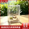 Acrylic Magnetic Reptile Terrarium Arboreal Spiders Geckos Insects 6cm 10cm Modular
