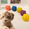Cartoon Latex Squeaky Dog Toys Bite Resistant Pig Pet Squeaky Toys Funny Dog Chew Toy  Self Happy