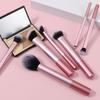 6Long-Tube Makeup Brush Set with Multi-Color Ultra-Soft Powder Brush, Blush Brush, and Eyeshadow Brush for Beginners