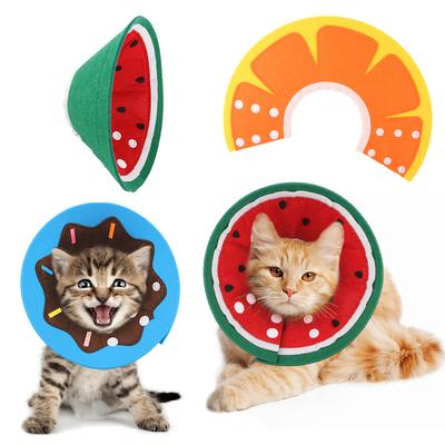 Gatos – Cuidados e higiene