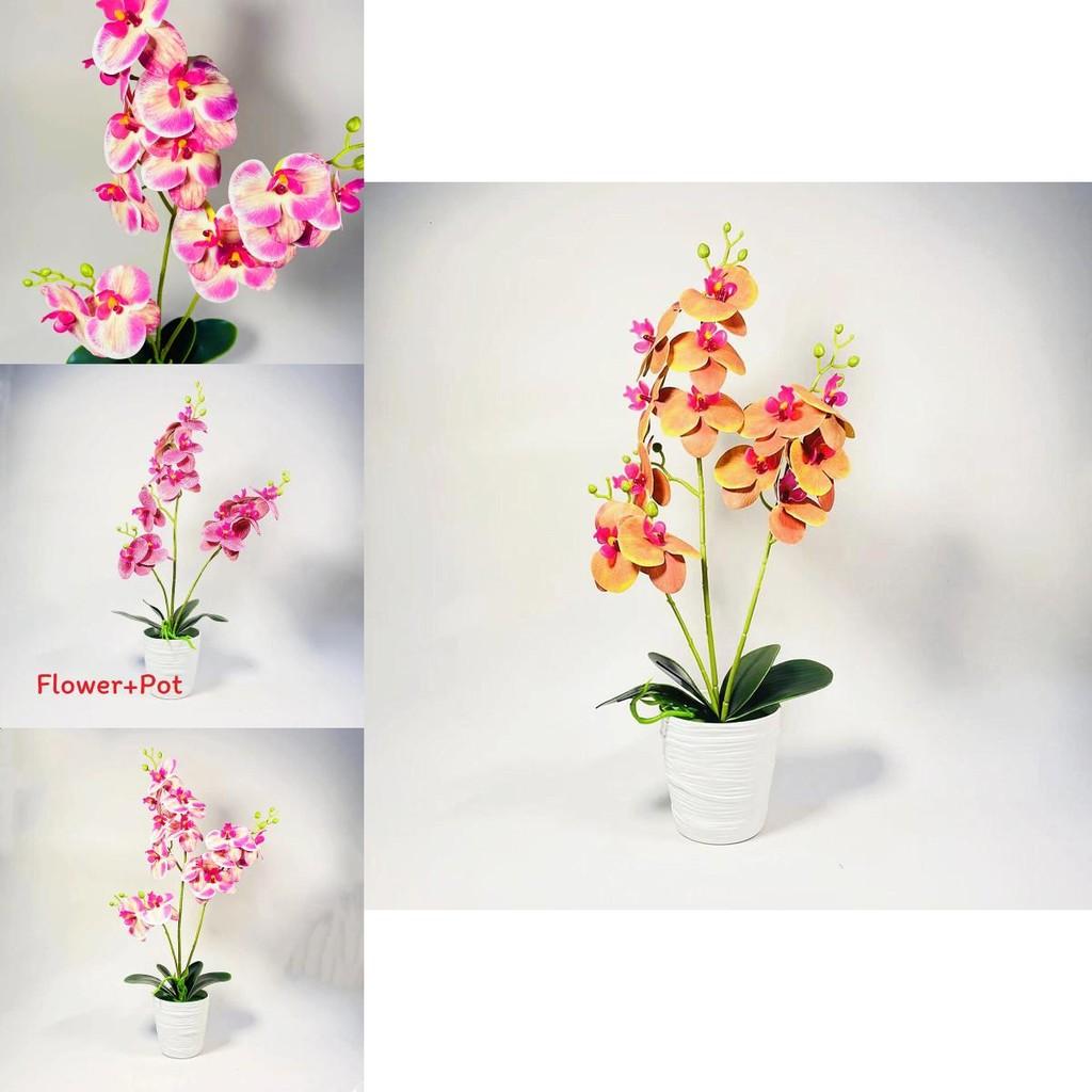 Phalaenopsis Artificial Plant With Pvc Material For Home Decor And Gift Presentations