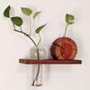 Solid Wood Wall-Mounted Flower Holder & Shelf - Decorative Vase for Plants & Water Culture