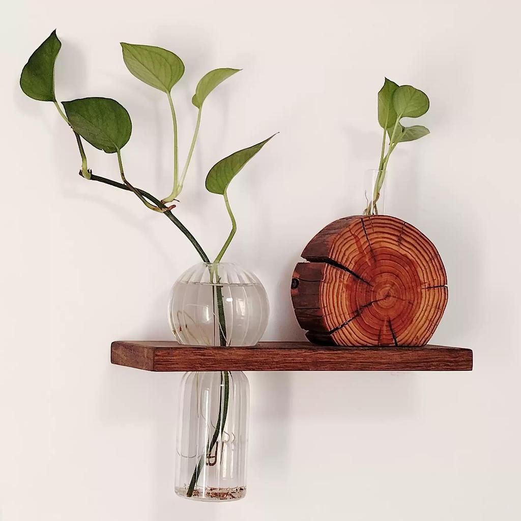 Solid Wood Wall-Mounted Flower Holder & Shelf - Decorative Vase for Plants & Water Culture