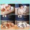 Adorable Soft Plush Long Hair Dual Color Dog Doll For Cuddly Comforting Gifts