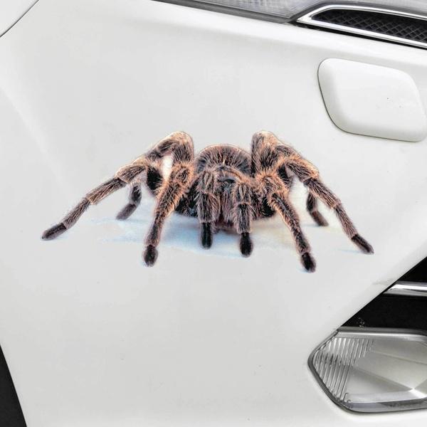 Couleur argent métal 3D Araignée Adhésif Autocollant Pour Voiture Van Auto Couleur argent métal 3D Araignée Adhésif Autocollant Pour Voiture Van Auto