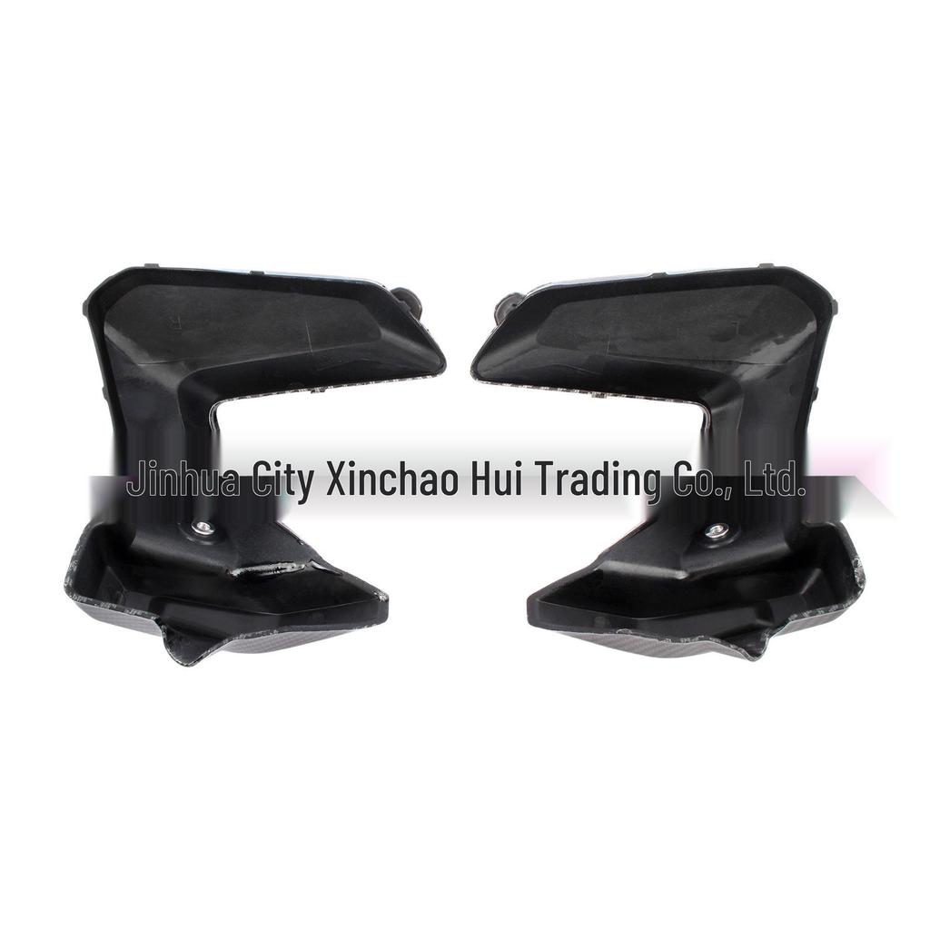 BMW R1250RS 19-23 Carbon Fiber Cylinder Head Side Panel Accessories