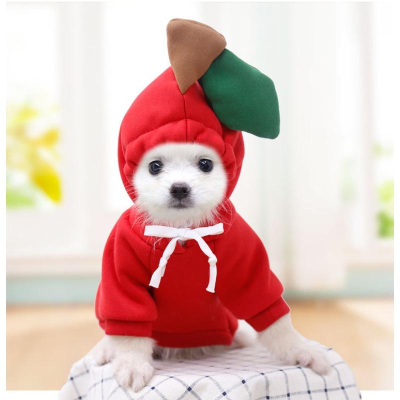 Katze Haustierkleidung für Herbst und Winter, Welpen, Teddykatzen, Fleece-Mützen, Hunde-Hoodies, Verdickt und warm