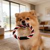 Puppy Harness Four-Point Adjustable Breathable Mesh Vest Style Chest Back Harness Body Shape Fitting Harness