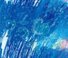 CD CLAMMBON  Clammbon  Warnervest  DVD Tsuki WPZL30251 Tropical 2010 Japan Japanese PopRock Used