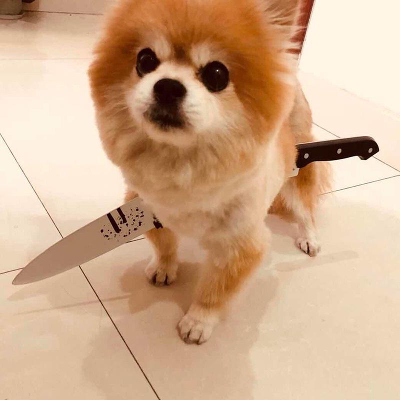 Halloween Cosplay Plastic Cleaver & Syringe Headband Set