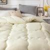 Caiyang Velvet Silk Floss Duvet