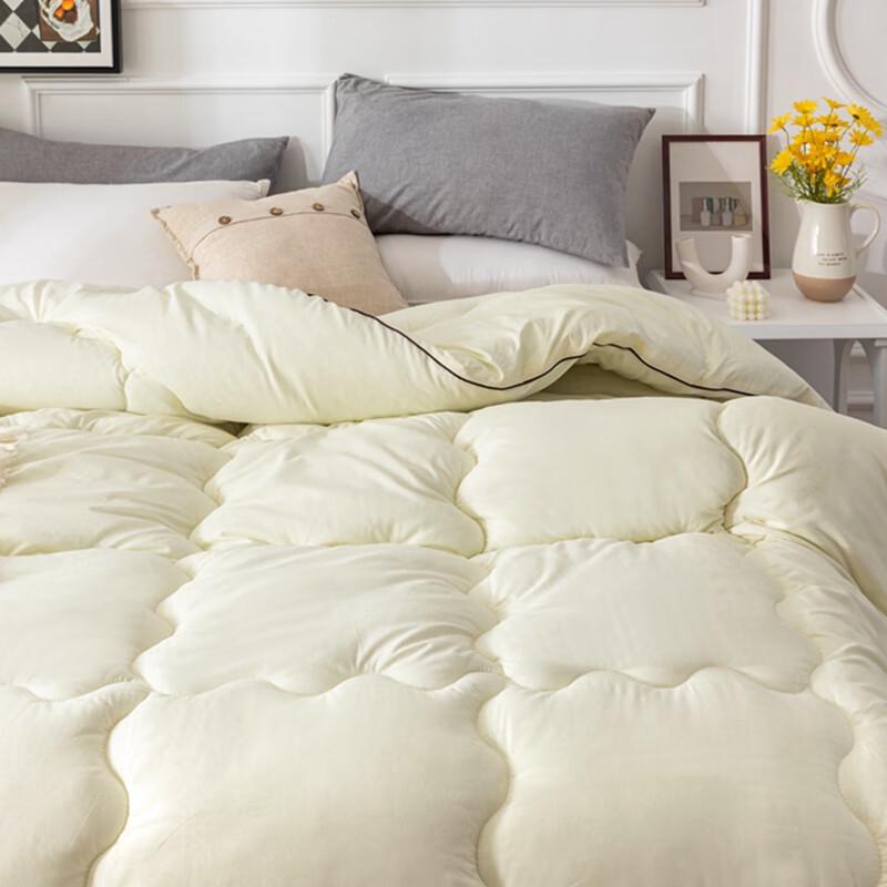 Caiyang Velvet Silk Floss Duvet