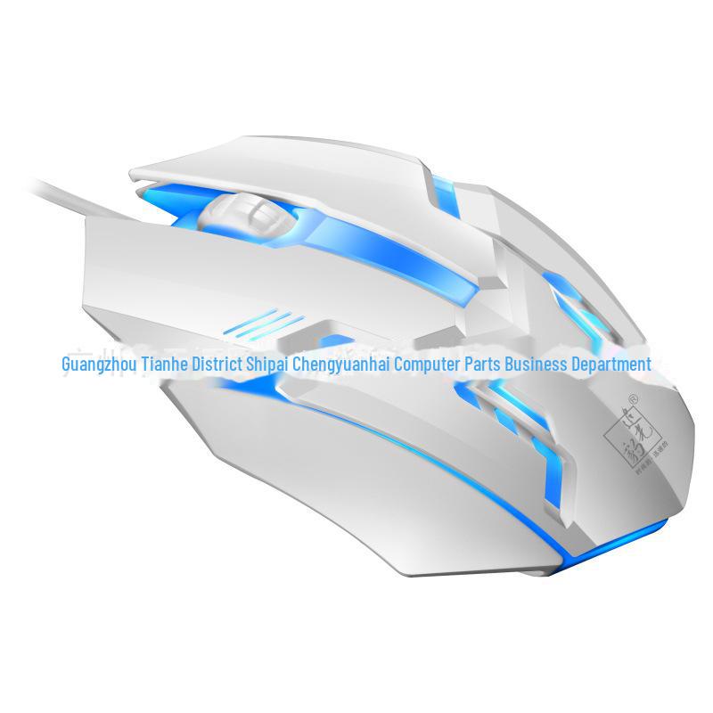 Chasing Light Leopard G21B USB Wired RGB Keyboard & Mouse Set for Office, Business & Gaming